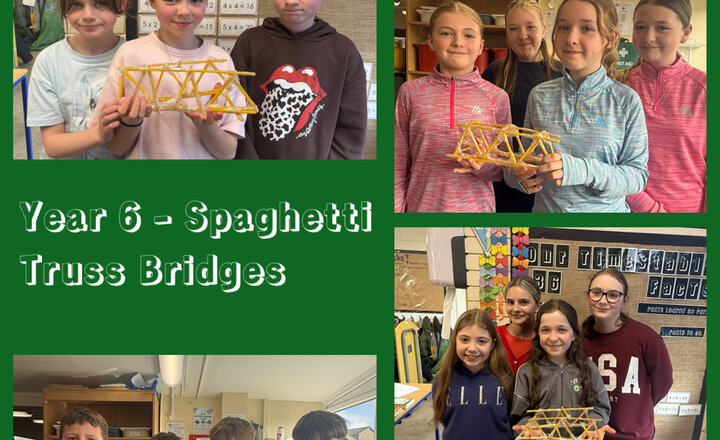 Image of Year 6 - Spaghetti Truss Bridges