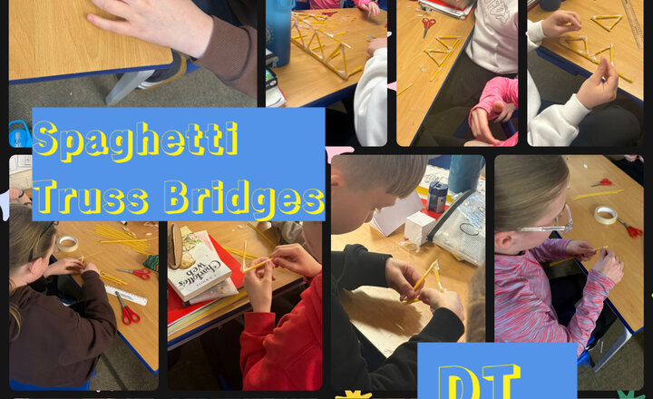 Image of Year 6 - Spaghetti Truss Bridges