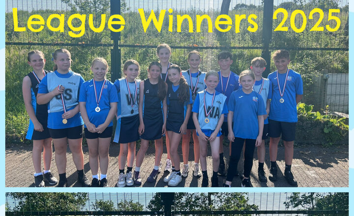 Image of Darwen Netball League Winners 