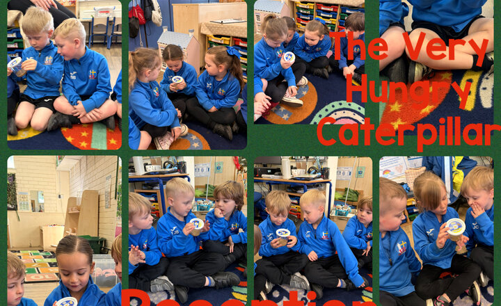 Image of Reception: The Very Hungry Caterpillar