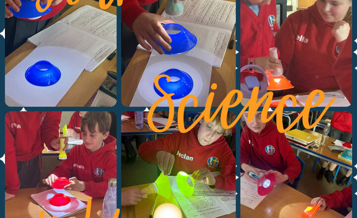 Image of Year 6 - Science 