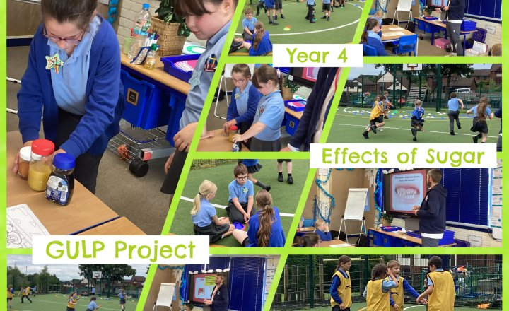 Image of Year 4 - The GULP Project - Effects of Sugar