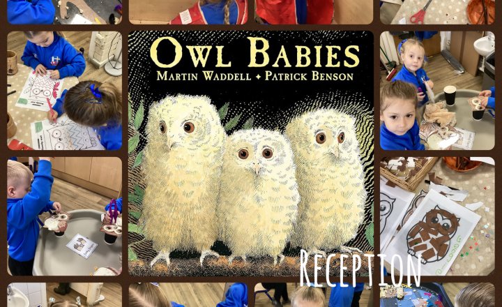 Image of Reception- Owl Babies
