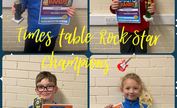 Image of Times Table Rockstar Champions