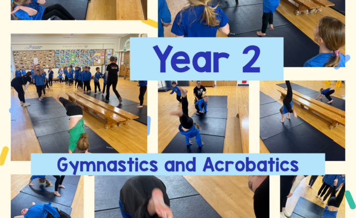 Image of Year 2 - Gymnastics and Acrobatics 