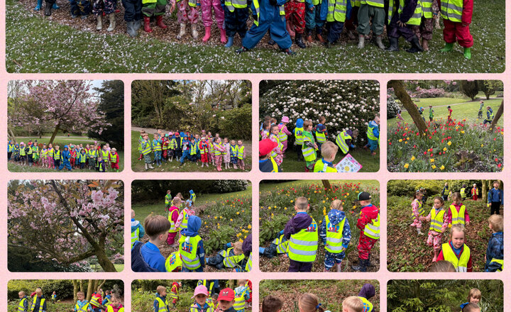 Image of Reception: Spring Flower Hunt