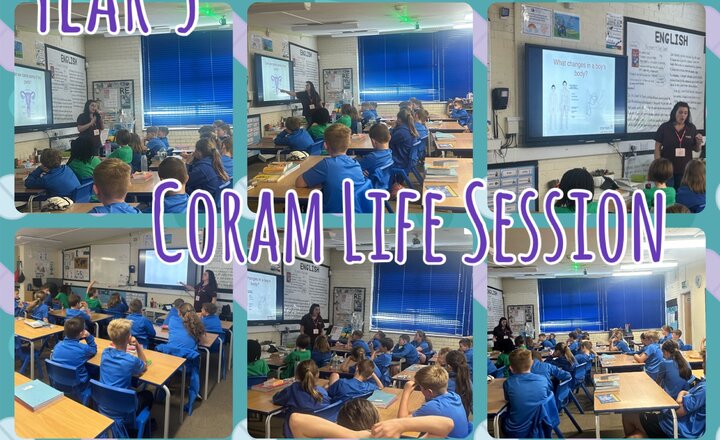 Image of Year 5 - Coram Life Education Session