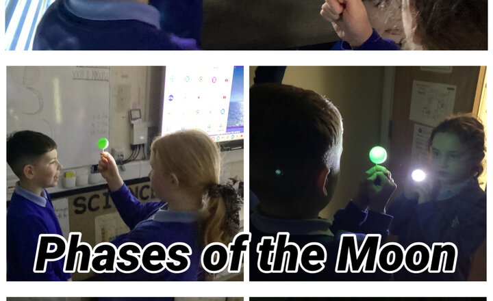 Image of Year 5 - Science