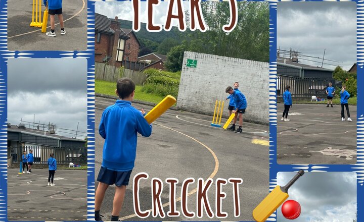 Image of Year 5 - Cricket 