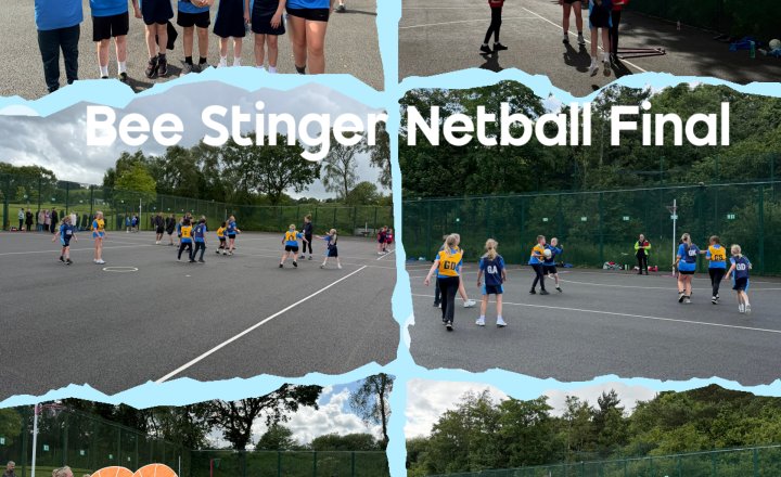 Image of Bee Stinger Netball Final 