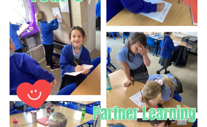 Image of Year 3 - Partner Learning