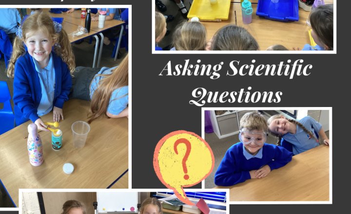 Image of Year 3 - Working Scientifically - Asking Questions