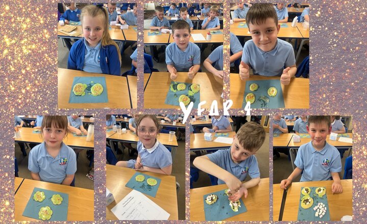 Image of Year 4 DT - Food Technology - Creating our own biscuits 