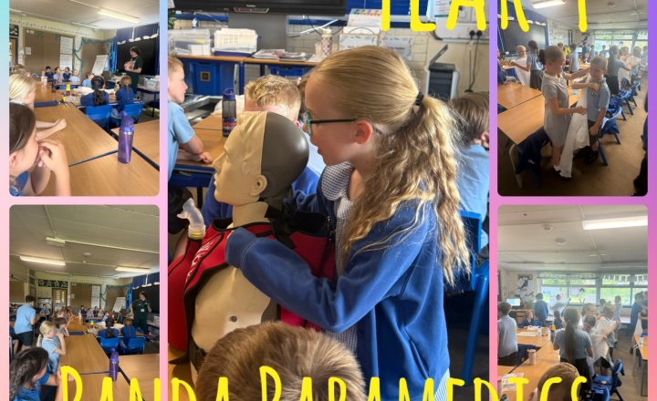 Image of Year 4 - Panda Paramedics 