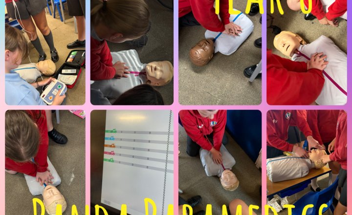 Image of Year 6 - Panda Paramedics 