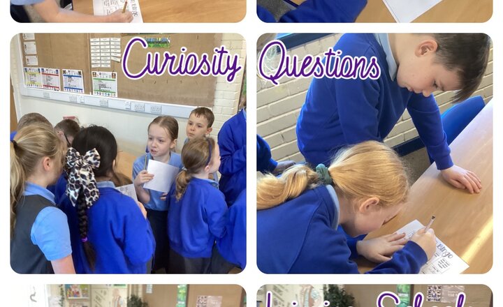 Image of Year 4 - Linking Schools: Curiosity Questions