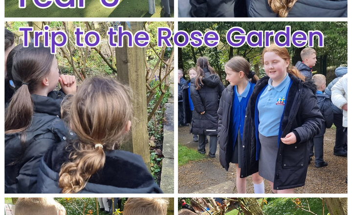 Image of Year 5 - Whitehall Park