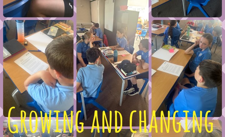 Image of Year 6 - PSHE 