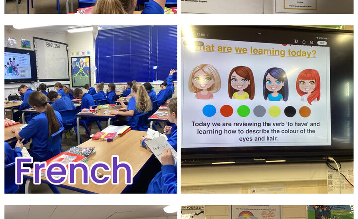 Image of Year 5 - French