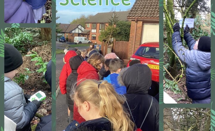 Image of Year 4 - Science: Air Pollution Investigation 