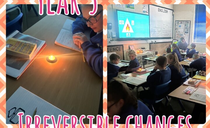 Image of Year 5 - Irreversible changes 