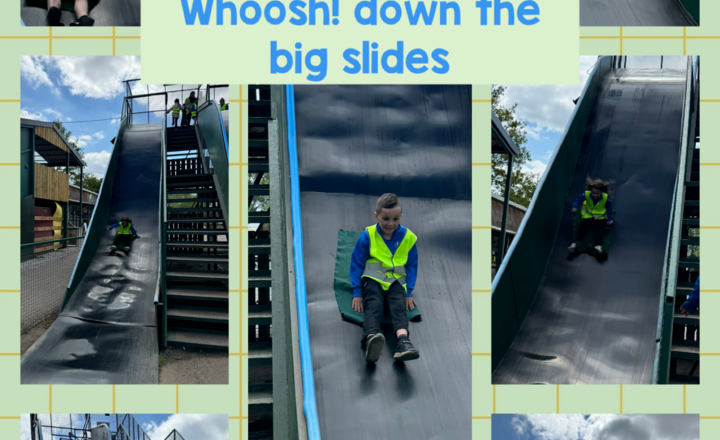 Image of Year 2 - The Big Ones