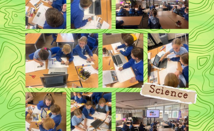 Image of Year 4: Science 