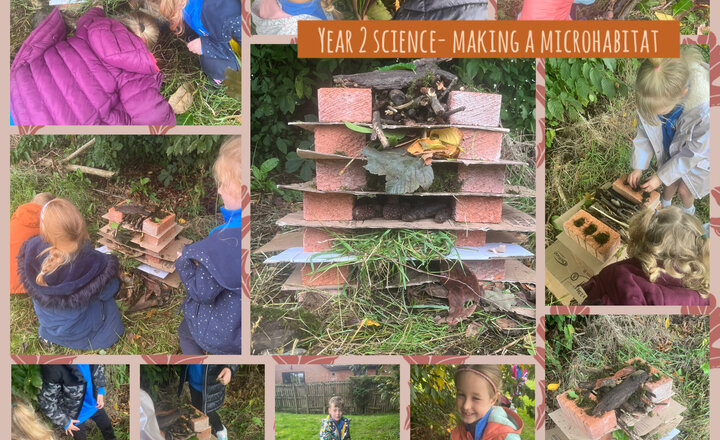 Image of Year 2 Science- Collecting Materials and Building a Microhabitat 