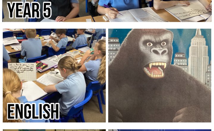 Image of Year 5 - English