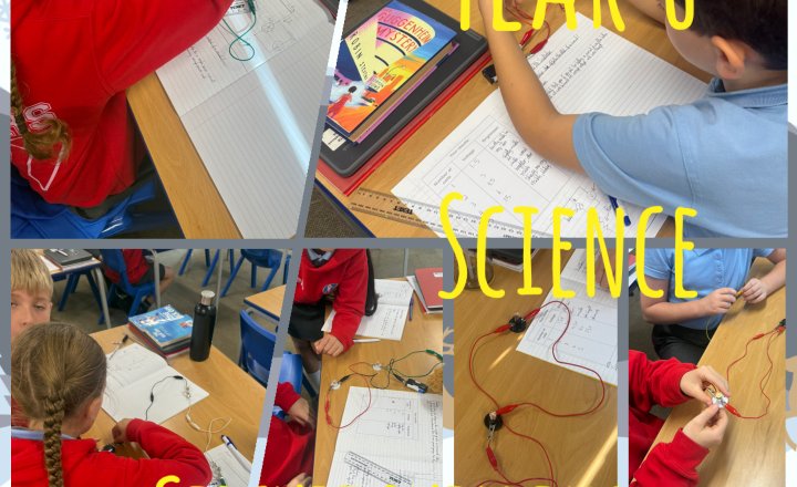 Image of Year 6 - Building Circuits 