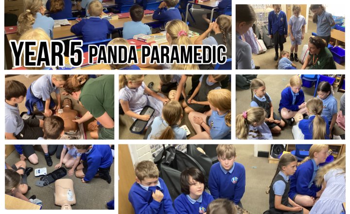 Image of Year 5 - Panda Paramedic