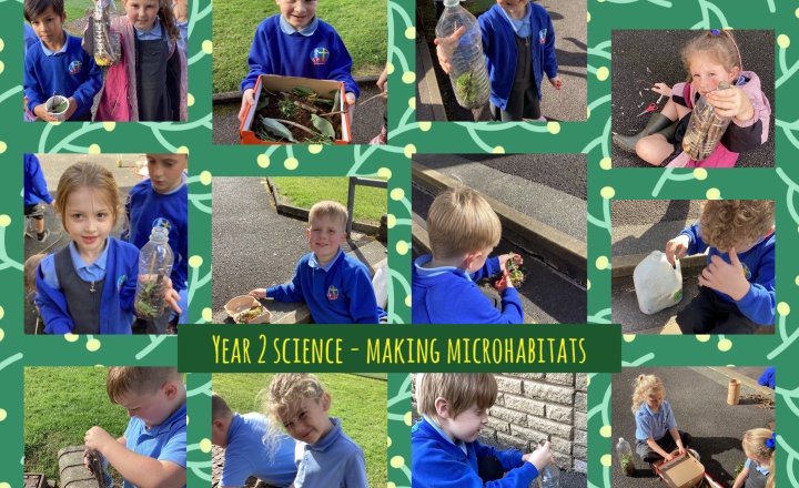 Image of Year 2 Science- Microhabitats 
