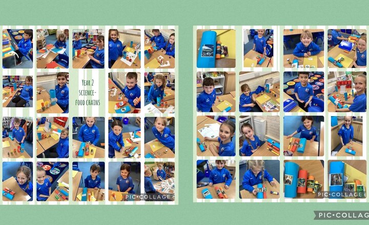 Image of Year 2 Science-Food Chains 