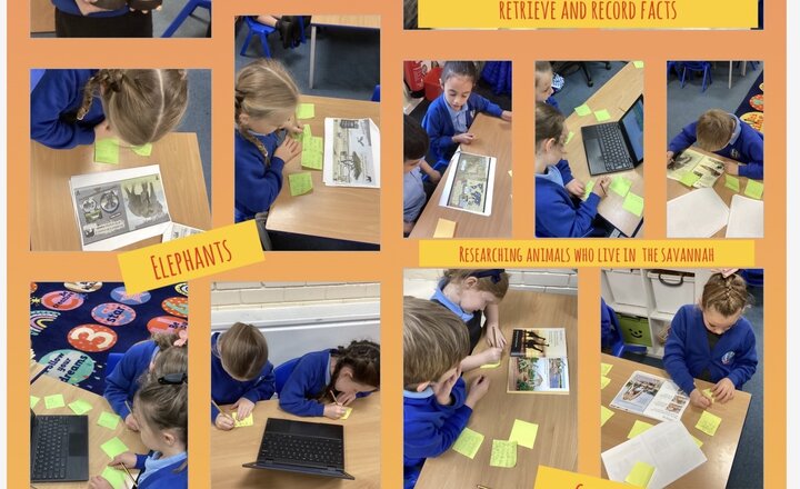 Image of Year 2 English- Using Non-Fiction Texts to Retrieve and Record Facts 
