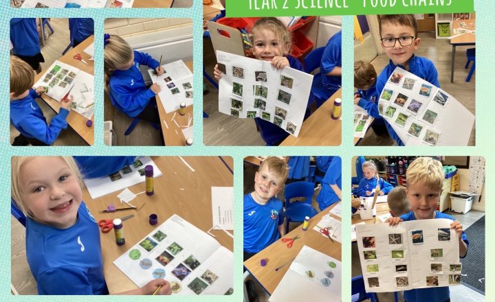 Image of Year 2 Science- Food Chains 