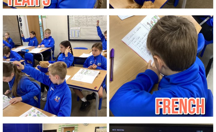 Image of Year 5 - French