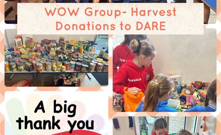 Image of WOW group Harvest Donations to DARE (Darwen Asylum and Refugee Enterprise) 