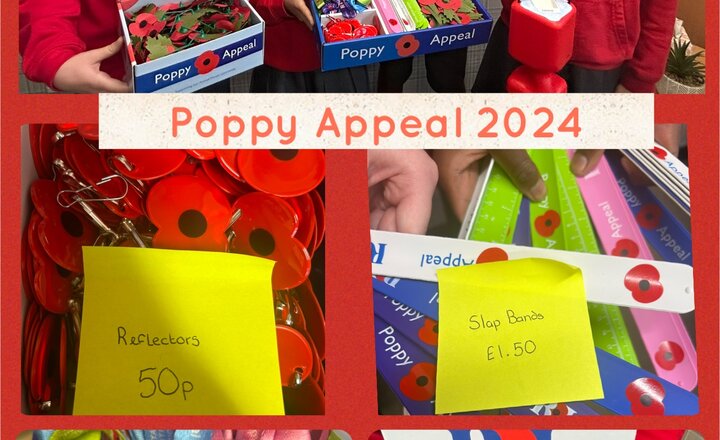 Image of Poppy Appeal 2024 