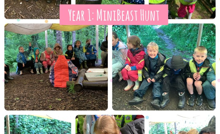 Image of Year 1: Minibeast Hunt