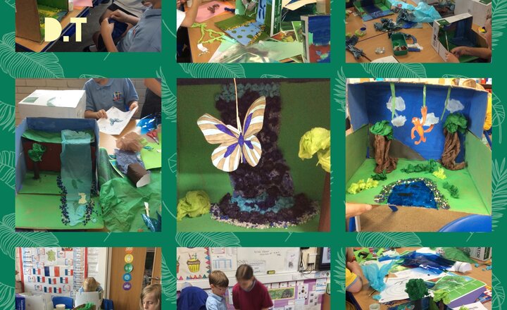 Image of  Rainforest Habitat Diorama- D.T-Year 5