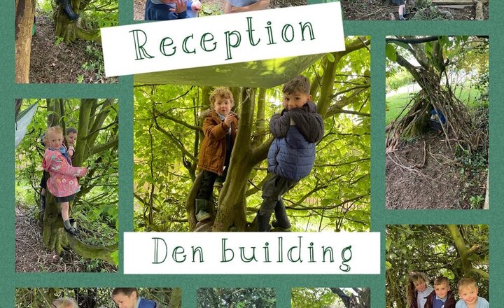 Image of Reception: Den building 