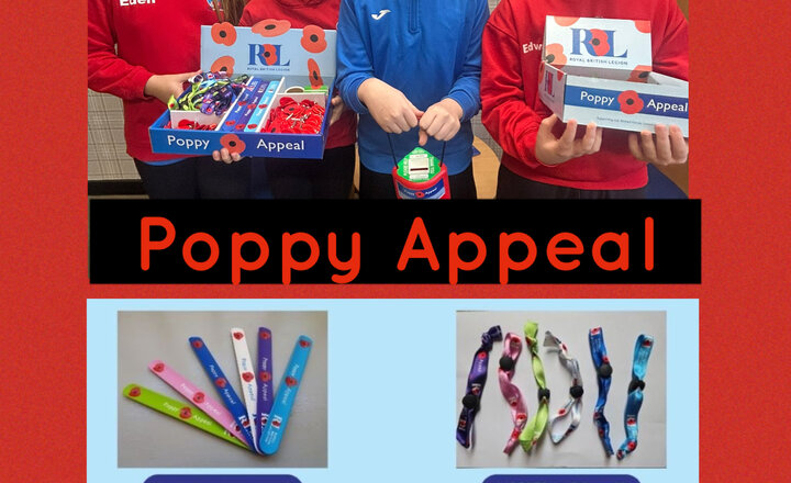 Image of Poppy Appeal 2025