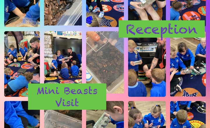 Image of Reception - Minibeast Visit