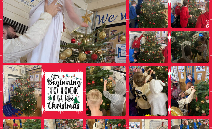 Image of It’s beginning to look a lot like Christmas!