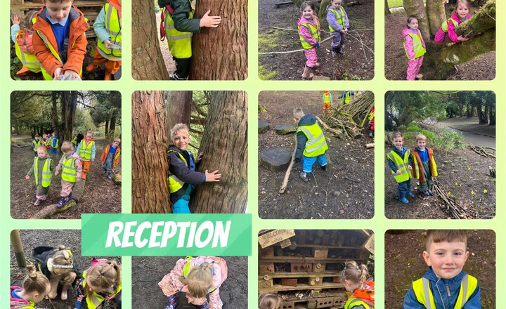 Image of Reception: Forest Schools