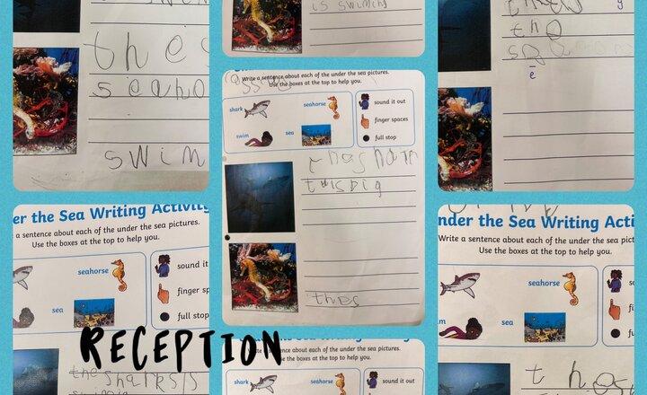 Image of Reception: Wonderful Writing 