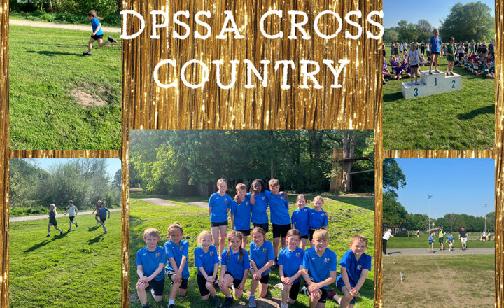 Image of Darwen Primary Schools Cross Country 