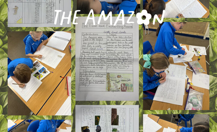 Image of Year 4 English - Information Texts 
