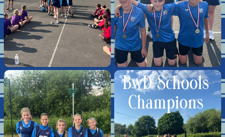 Image of BwD Schools Bee Stinger Netball Champions 