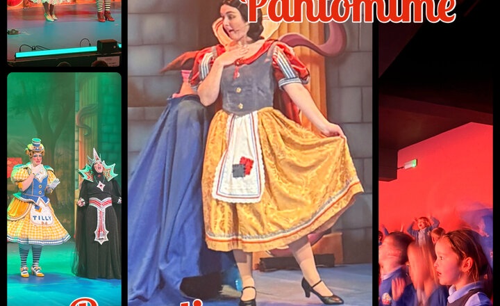 Image of Reception- Snow White